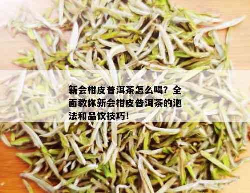 新会柑皮普洱茶怎么喝？全面教你新会柑皮普洱茶的泡法和品饮技巧！