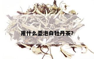 用什么壶泡白牡丹茶？