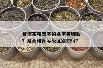 普洱茶带箐字的名字有哪些？茶菁和箐等级区别如何？