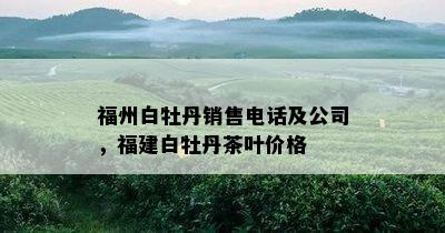 福州白牡丹销售电话及公司，福建白牡丹茶叶价格