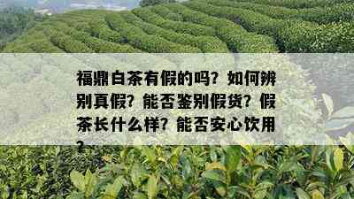 福鼎白茶有假的吗？如何辨别真假？能否鉴别假货？假茶长什么样？能否安心饮用？