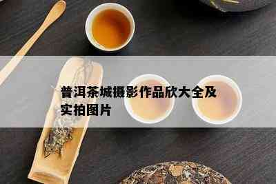 普洱茶城摄影作品欣大全及实拍图片