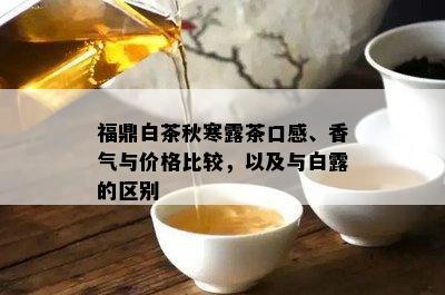 福鼎白茶秋寒露茶口感、香气与价格比较，以及与白露的区别