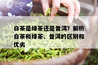 白茶是绿茶还是普洱？解析白茶和绿茶、普洱的区别和优劣