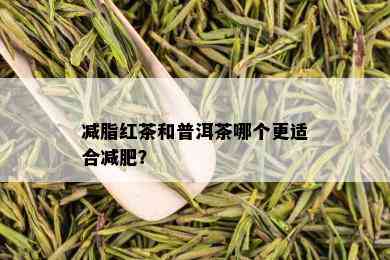 减脂红茶和普洱茶哪个更适合减肥？