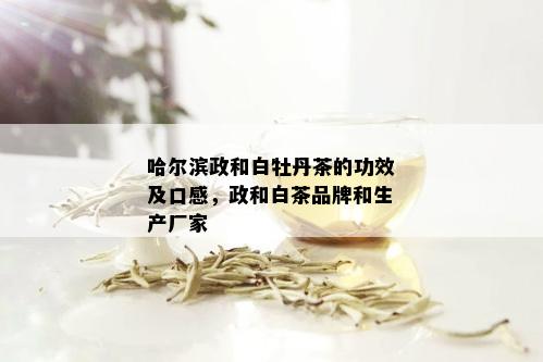 哈尔滨政和白牡丹茶的功效及口感，政和白茶品牌和生产厂家