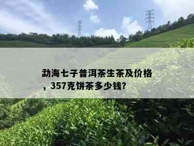 勐海七子普洱茶生茶及价格，357克饼茶多少钱？