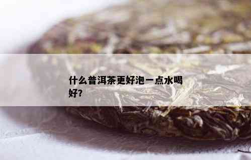 什么普洱茶更好泡一点水喝好？