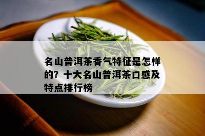 名山普洱茶香气特征是怎样的？十大名山普洱茶口感及特点排行榜