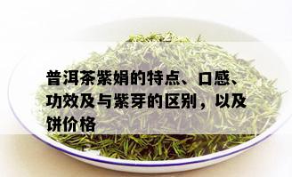 普洱茶紫娟的特点、口感、功效及与紫芽的区别，以及饼价格