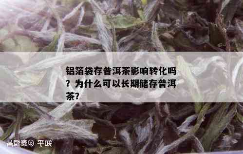 铝箔袋存普洱茶影响转化吗？为什么可以长期储存普洱茶？