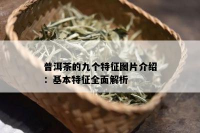 普洱茶的九个特征图片介绍：基本特征全面解析