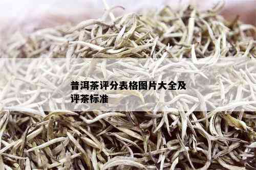 普洱茶评分表格图片大全及评茶标准