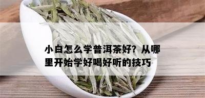 小白怎么学普洱茶好？从哪里开始学好喝好听的技巧