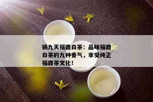 扬九天福鼎白茶：品味福鼎白茶的九种香气，享受纯正福鼎茶文化！