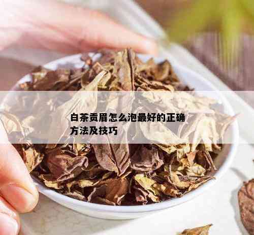 白茶贡眉怎么泡更好的正确方法及技巧