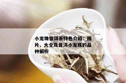 小龙珠普洱茶特色介绍：图片、大全及普洱小龙珠的品种解析