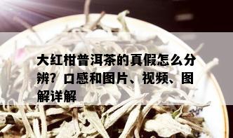 大红柑普洱茶的真假怎么分辨？口感和图片、视频、图解详解