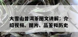 大雪山普洱茶图文讲解：介绍视频、图片、品鉴和历史