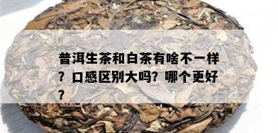 普洱生茶和白茶有啥不一样？口感区别大吗？哪个更好？