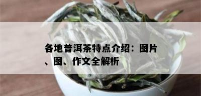 各地普洱茶特点介绍：图片、图、作文全解析