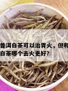 普洱白茶可以治胃火，但和白茶哪个去火更好？