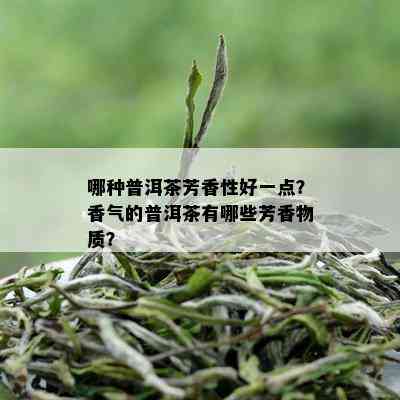 哪种普洱茶芳香性好一点？香气的普洱茶有哪些芳香物质？