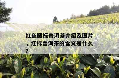 红色圆标普洱茶介绍及图片，红标普洱茶的含义是什么？