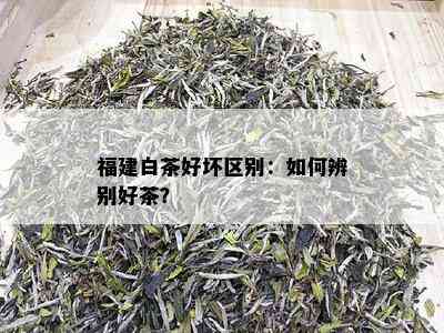 福建白茶好坏区别：如何辨别好茶？