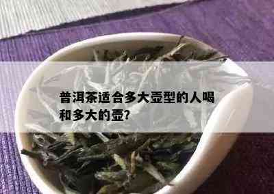 普洱茶适合多大壶型的人喝和多大的壶？