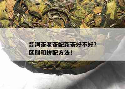 普洱茶老茶配新茶好不好？区别和拼配方法！