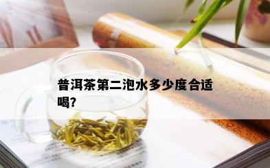 普洱茶第二泡水多少度合适喝？