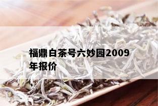 福鼎白茶号六妙园2009年报价