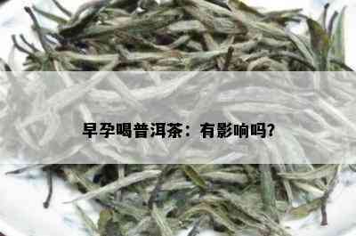 早孕喝普洱茶：有影响吗？