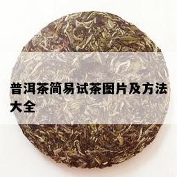 普洱茶简易试茶图片及方法大全