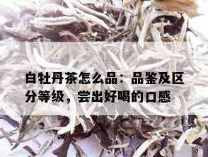 白牡丹茶怎么品：品鉴及区分等级，尝出好喝的口感