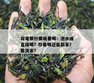 白毫银针要吸着喝：泡水或直接喝？存着喝还是新茶？需洗茶？