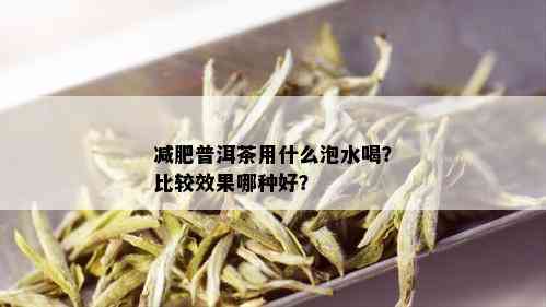 减肥普洱茶用什么泡水喝？比较效果哪种好？