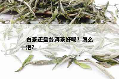 白茶还是普洱茶好喝？怎么泡？