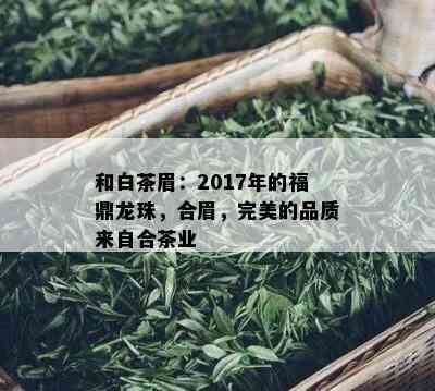 和白茶眉：2017年的福鼎龙珠，合眉，完美的品质来自合茶业