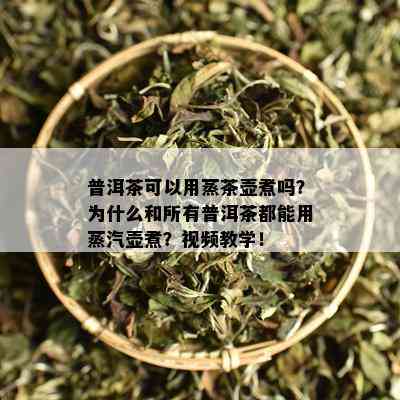 普洱茶可以用蒸茶壶煮吗？为什么和所有普洱茶都能用蒸汽壶煮？视频教学！