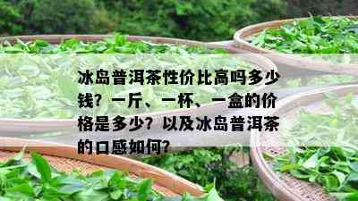 冰岛普洱茶性价比高吗多少钱？一斤、一杯、一盒的价格是多少？以及冰岛普洱茶的口感如何？