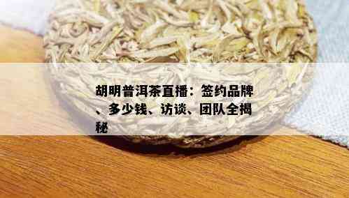 胡明普洱茶直播：签约品牌、多少钱、访谈、团队全揭秘