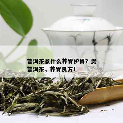 普洱茶煮什么养胃护胃？煲普洱茶，养胃良方！