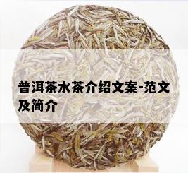 普洱茶水茶介绍文案-范文及简介