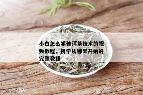 小白怎么学普洱茶技术的视频教程，初学从哪里开始的完整教程