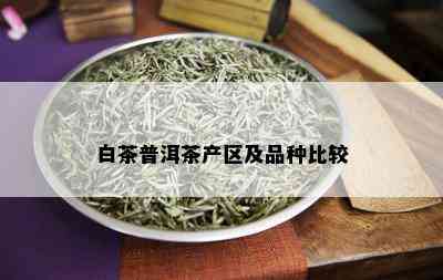 白茶普洱茶产区及品种比较