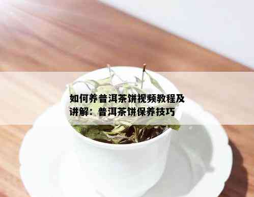 如何养普洱茶饼视频教程及讲解：普洱茶饼保养技巧