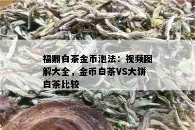 福鼎白茶金币泡法：视频图解大全，金币白茶VS大饼白茶比较