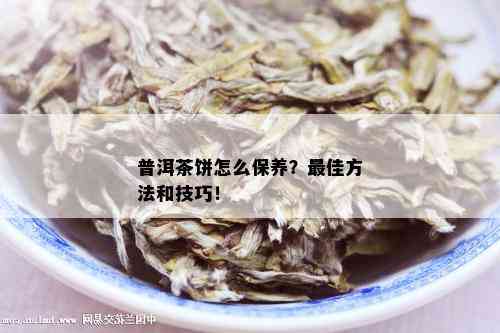 普洱茶饼怎么保养？更佳方法和技巧！